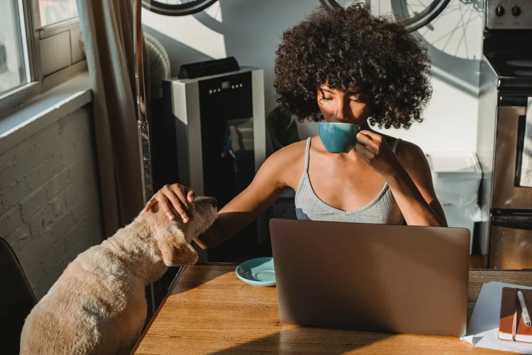 Parceria TecMundo e Remotar Abre Portas para Empregos Remotos (2024)