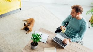 Indeniza&ccedil;&atilde;o por mordida de cachorro no home office: saiba mais!