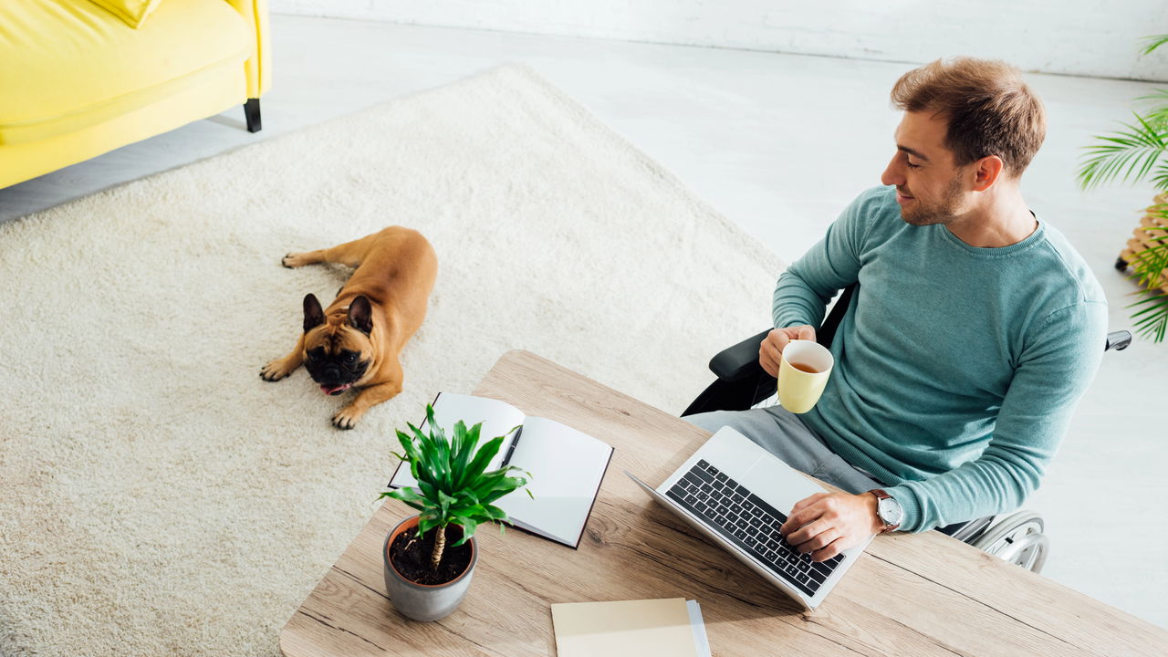 Indeniza&ccedil;&atilde;o por mordida de cachorro no home office: saiba mais!